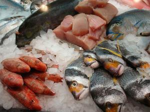 Fao muestra sector pesquero aprovechar desperdicios pescado mediante ensilado