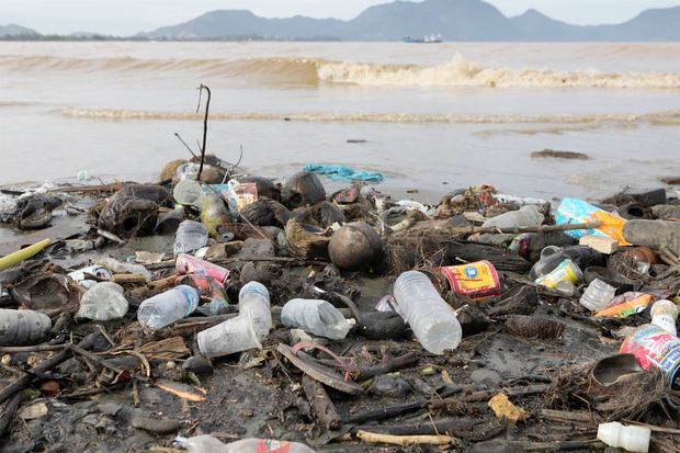Un 88 % de las especies marinas está afectado por la grave contaminación con plásticos que sufren los océanos y muchas de ellas ya tienen estos materiales en su organismo.