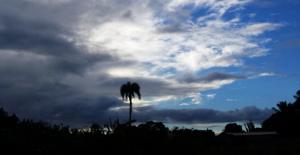 Nubes dispersas a medio nublado y algunos chubascos
 