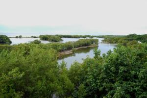 Ministerio de Medio Ambiente celebra actividades por el “Día Mundial de los Humedales”