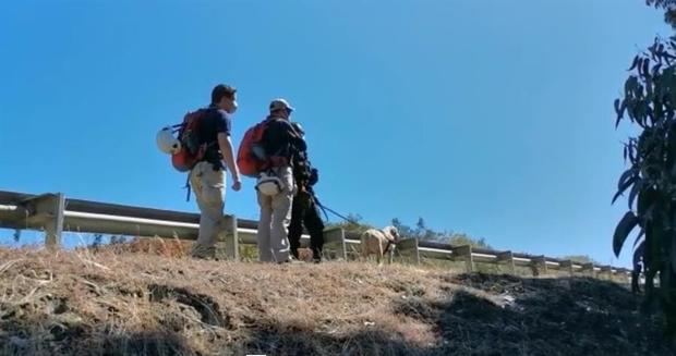 a operación movilizó a casi 400 personas, entre policías, brigadistas forestales y bomberos, además de decenas de vecinos del sector rural de Caripilun, un pueblo agrícola en la región del Biobío, 600 kilómetros al sur de la capital, donde el menor fue visto por última vez.
