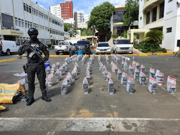 La DNCD decomisa 42 kilos de cocaí­na en Boca Chica y apresa a tres hombres.
