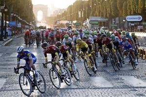 La UCI hace oficial el retraso del Tour y fija la Vuelta tras el Giro