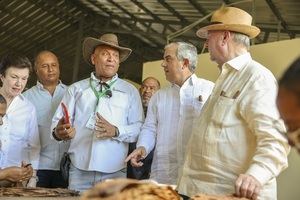 Sector tabaco genera más de 110 mil empleos directos e indirectos.