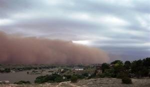 El cambio climático propagará las enfermedades infecciosas 