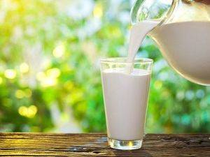Denuncian lecheras reducen 2 y 3 pesos precio litro de leche en fincas