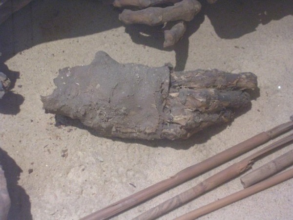 La momia de Turín