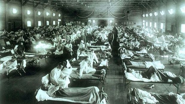 Pandemia de la  Influenza: dentro de la historia.