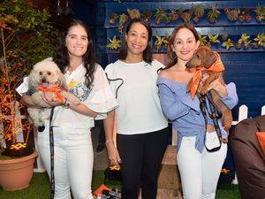 Fundación Doggie House y Tito’s Vodka realizan esfuerzo a favor de caninos