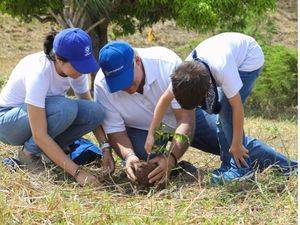 Empleados AFP Popular reforestan en la sierra 