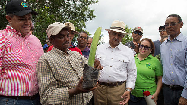 Miembros de JAD e IAD visitan plantaciones junto a agricultores.