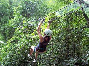 4 webs para enseñar Naturales a los niños