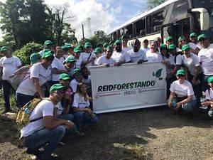 Reid & Compañía realiza jornada de reforestación