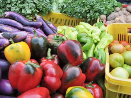 Estados Unidos levanta restricciones a exportaciones frutas y vegetales del país.