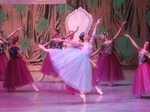 Fundación Grupo Puntacana presenta el ballet El Cascanueces