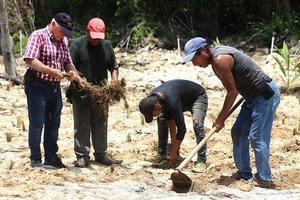 El ganadero Fernando Chico (i) utiliza el sargazo como sembradío en su rancho 'Nohoch Balam', 19 de agosto de 2023, en Playa del Carmen (México). 