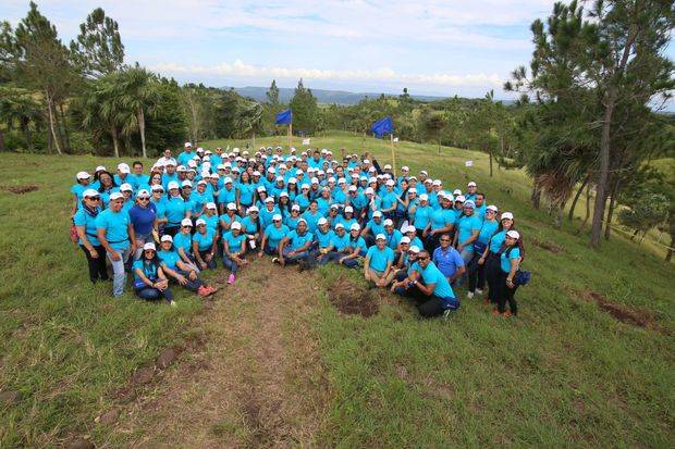 Alrededor de 200 empleados del Popular sembraron más de 2,600 árboles en unas 76 tareas de la comunidad de Paralimón, en San José de las Matas.