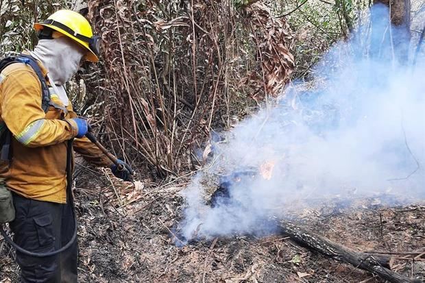 Fotografía cedida hoy por la Unidad de Parques Nacionales Naturales de Colombia que muestra un bombero que combate el incendio forestal del Parque Isla Salamanca, en Sitionuevo (Colombia). 