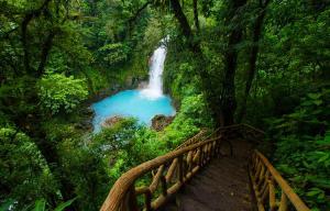 Lanzan Google Special Collects para explorar bellezas naturales de Costa Rica
