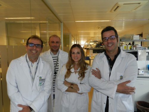 Equipo de investigadores