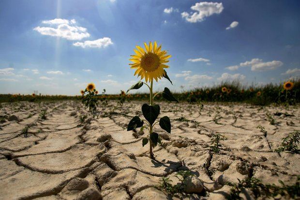 Estados del Caribe abogan por cooperación para luchar contra cambio climático