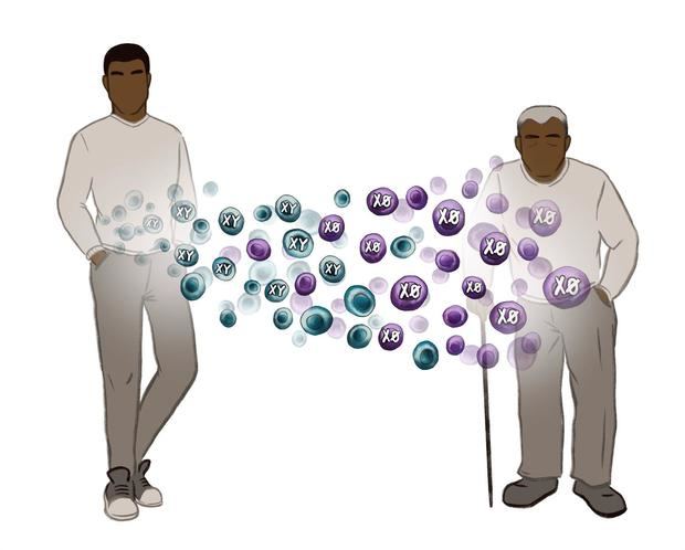 A medida que envejecen, los hombres pierden progresivamente su cromosoma, y eso podría estar pasando factura a su salud, según un estudio publicado en la revista Science.