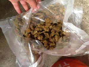 DNCD ocupa 51 kilos de cocaína y 17 libras de marihuana
