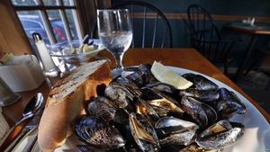 Científicos descubren opioides y antibióticos en mejillones de Seattle 