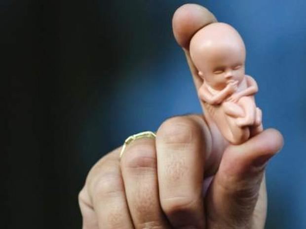 Organizaciones piden al nuevo Gobierno garantizar el aborto