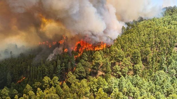 Siete detenidos acusados de provocar los incendios de Punta Cana.