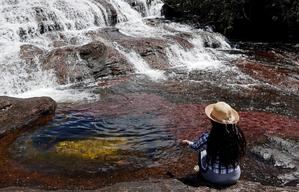 Caño Cristales, el río más bonito del mundo, brilla de nuevo tras la pandemia