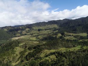 Afirman zona protegida en Valle Nuevo est&#225; libre de labores agr&#237;colas y asentamientos