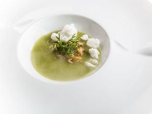 Gazpacho de tomate verde y hierbabuena de &#193;ngel Le&#243;n