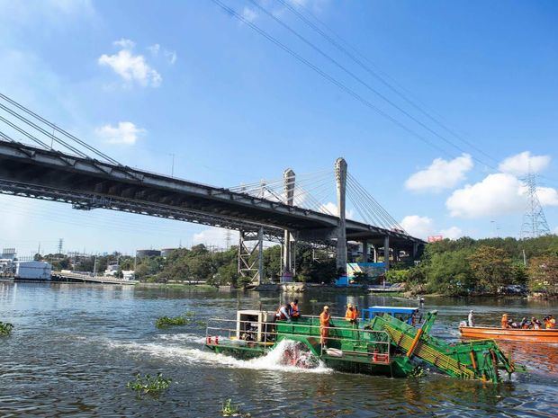 Programa Ribera Verde de la empresa Tropigas en las riberas de del río Ozama.