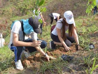 Temporada Reforestación comienza con siembra de 10,000 árboles en Loma Guagua. (Foto:Fuente Externa).