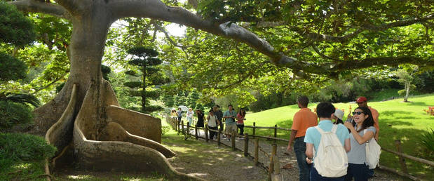 Jardín  Botánico Nacional.