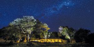 Zimbabue: un viaje al paraíso del safari