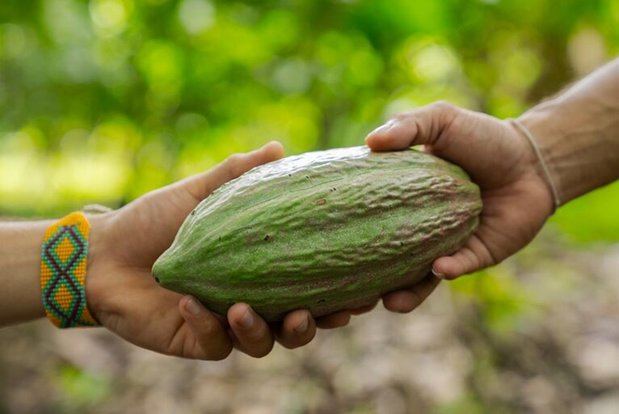 Organismo pide priorizar el financiamiento para pequeños agricultores en la COP16 .
