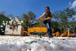 Limpian uno de los rí­os más contaminados de México con cascarones de huevo