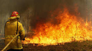 Los incendios en Australia no ceden: ya son 23 los muertos y se multiplican hasta 200 los focos activos 