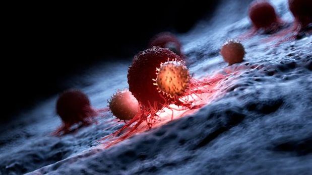 Ilustración de glóbulos blancos atacando a células cancerígenas.