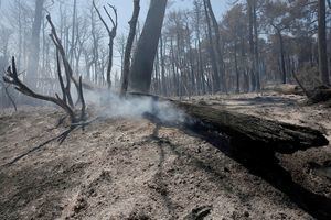 La ciencia admite ya efectos irreversibles del cambio climático en el planeta