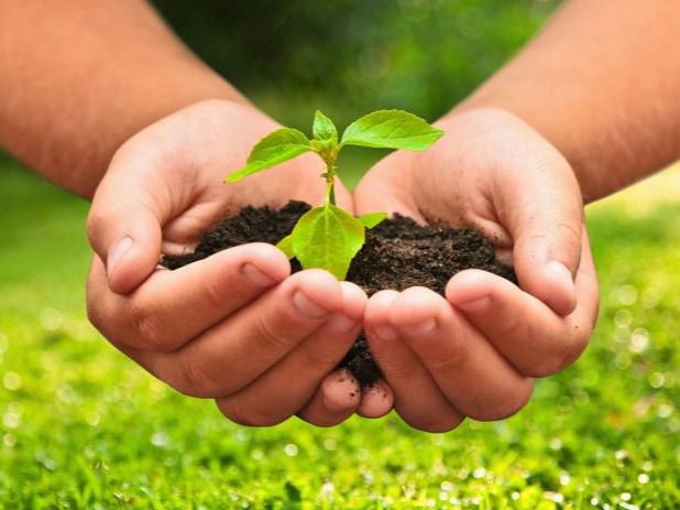 Día Mundial del Medioambiente .