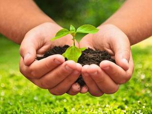 5 de junio, Día Mundial del Medio Ambiente