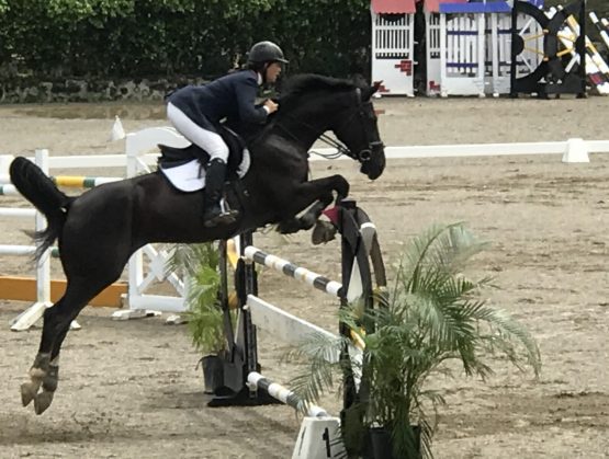 Vilorio y hermanas Lermoazzo ganan en el FEI World Jumping Challenge.