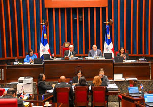 Errores técnicos obligan a devolver el Código Penal al Senado