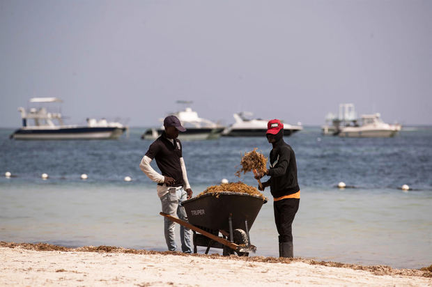 Dos trabajadores limpian una playa cubierta de sargazo, el 1 de septiembre de 2021, en Punta Cana, República Dominicana.