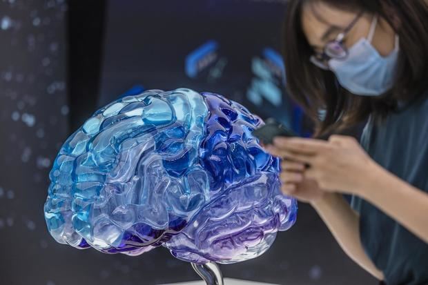 Un modelo de cerebro humano expuesto en una muestra en Shanghái, China.