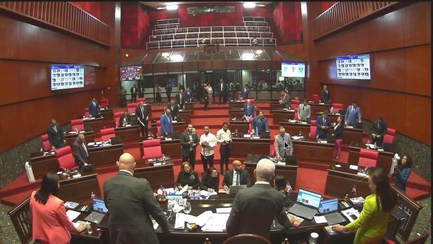 El Senado aprueba a unanimidad, de pie y en primera lectura, el Código Penal de la República Dominicana.