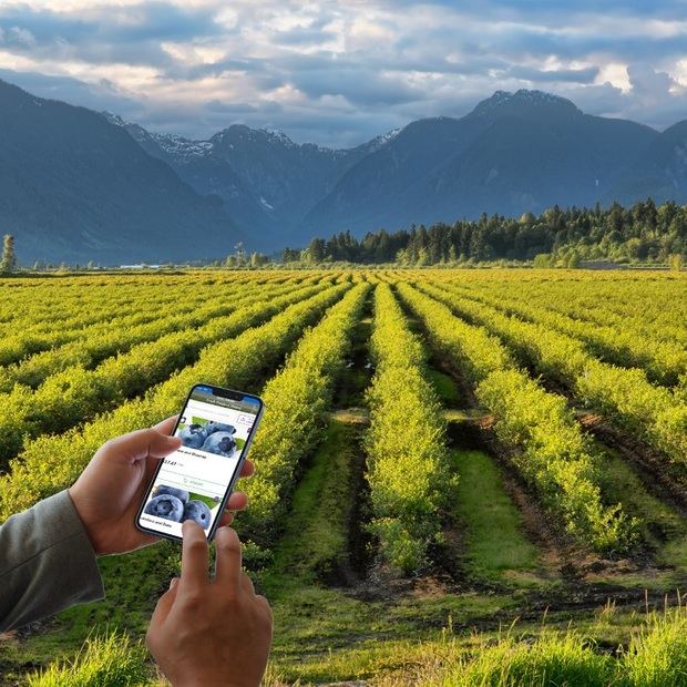 Utilización de tecnología digital a pie de campo.